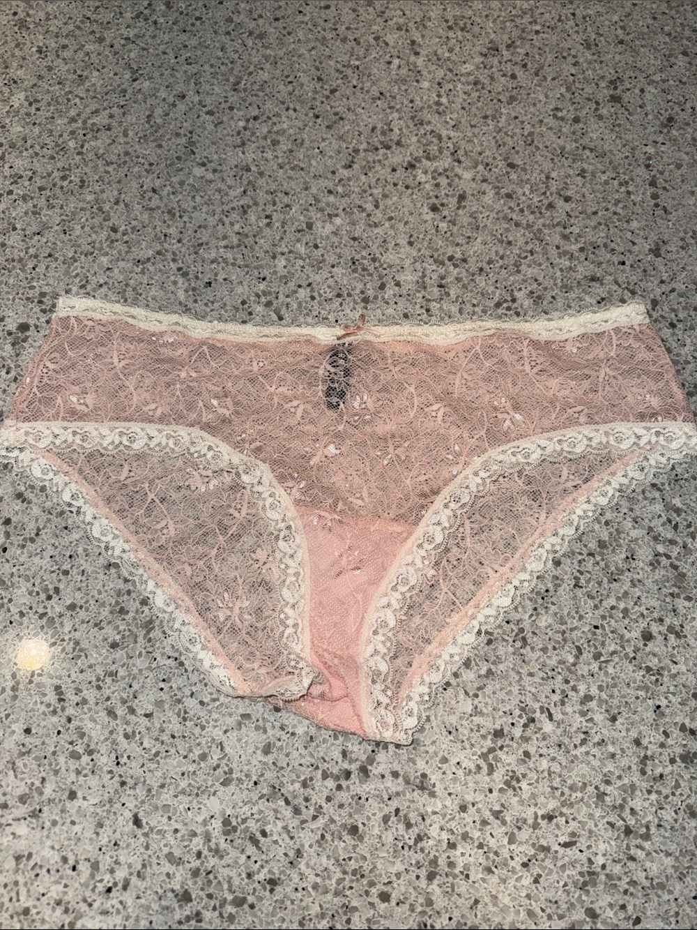 Torrid Lace Bikini Panty in Light Pink with Ivory Trim